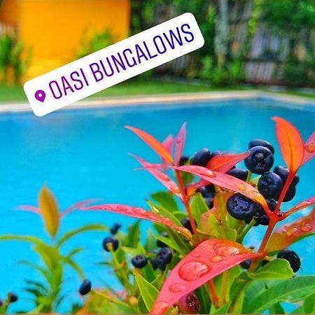 Hotel Oasi Bungalows Gili Air Zewnętrze zdjęcie