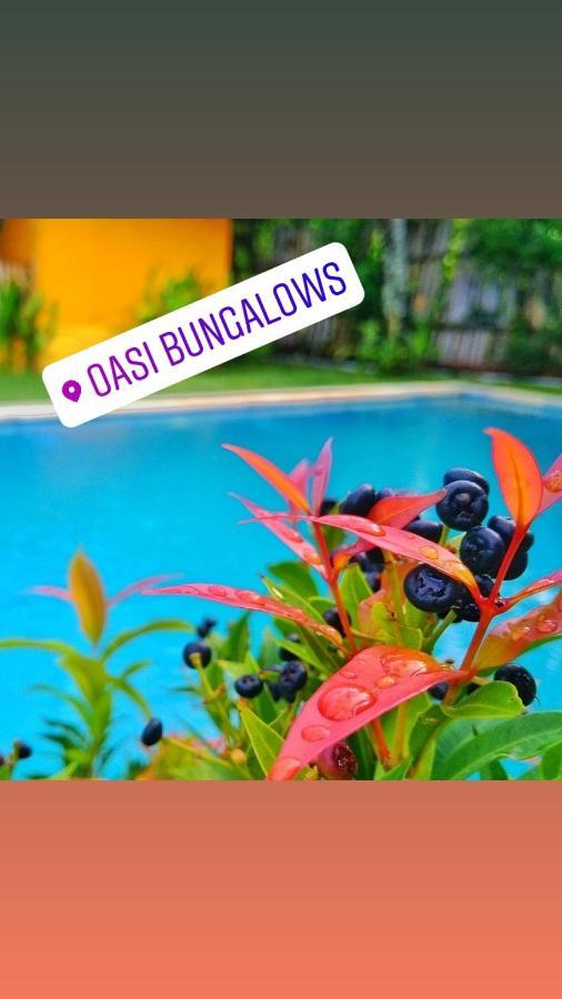 Hotel Oasi Bungalows Gili Air Zewnętrze zdjęcie
