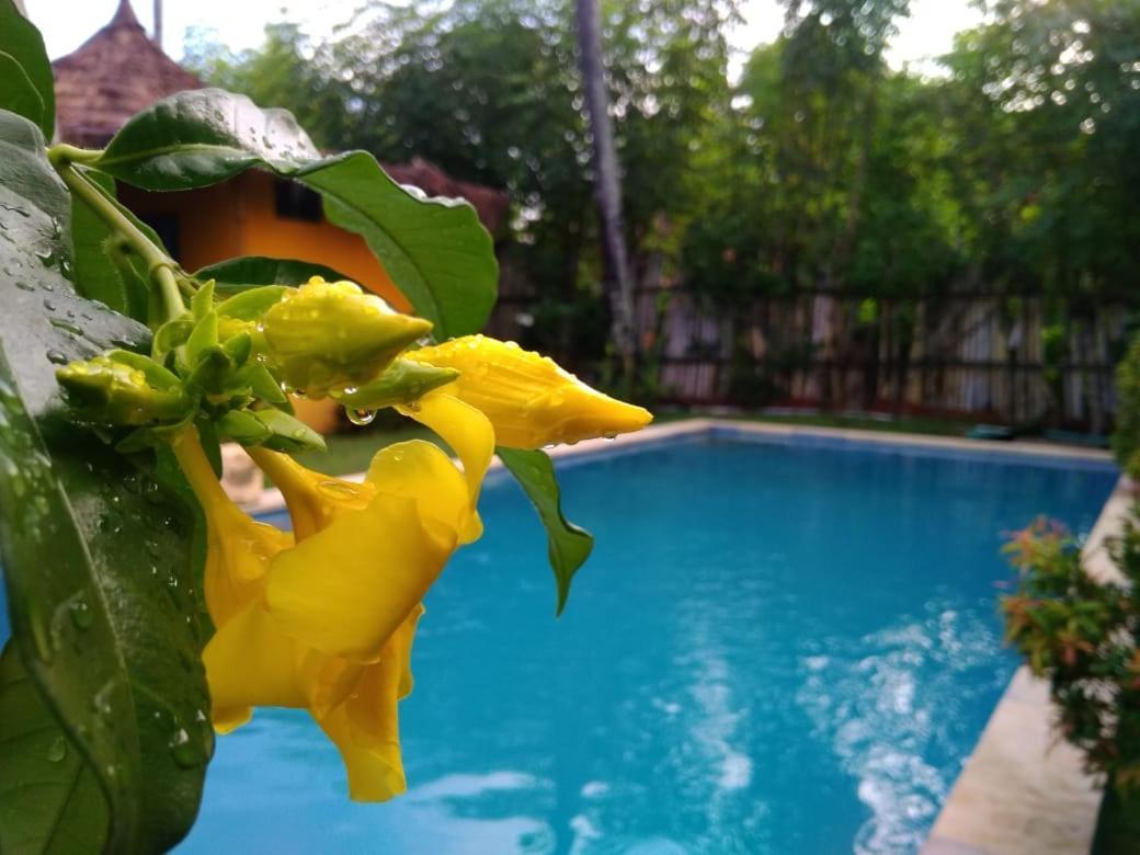 Hotel Oasi Bungalows Gili Air Zewnętrze zdjęcie